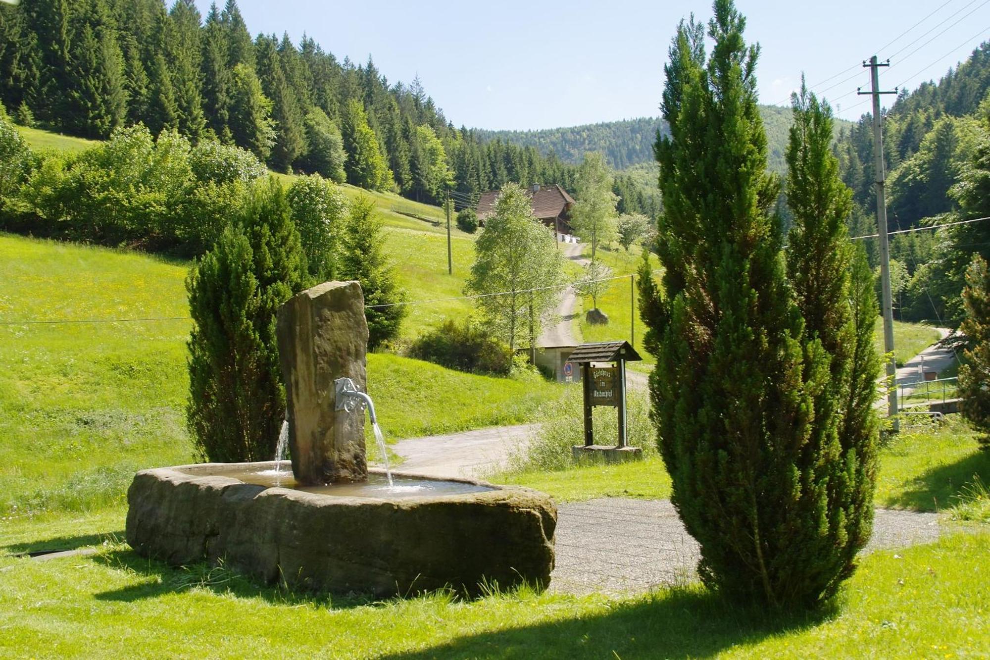 Gaestehaus Absbachtal Bad Rippoldsau-Schapbach Luaran gambar
